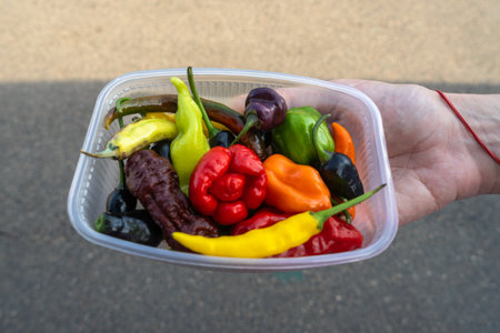 Colorful peppers in market baskets. Assorted fresh vegetables including vibrant peppers displayed in woven baskets at local market.の写真素材