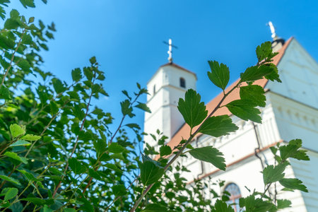 Peaceful white church with red tiled roof and bell tower surrounded by green trees under blue sky. Transfiguration church in Zaslavl Belarus with white walls and red roof.の写真素材