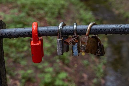 Colorful wedding padlocks on metal bridge railing love locks eternity and romance symbol over blurred green nature background.