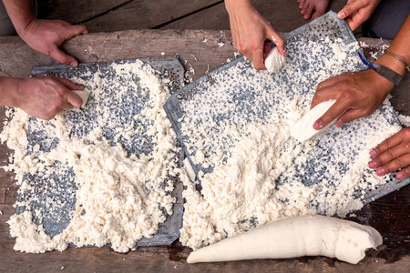 European Tourists Grinding Yucca Root, Traditional Indigenous Cuisine, National Park Cuyabenoの写真素材