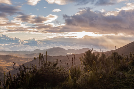 Sunset Alpine Scenery Of The Andean Mountain, Ecuador, South Americaの写真素材