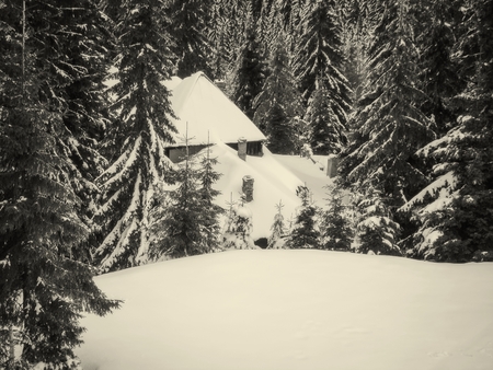 Snowy Wooden Cottage At Muntele Mic Resort, Caransebes, Romania, Monochrome Shootの写真素材