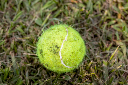 Dirty Yellow Tennis Ballの写真素材