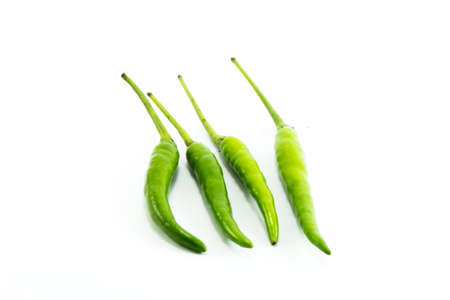 chilliの写真素材