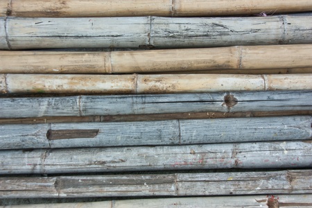 Bamboo has been used a lot of benefits. It features durable, and the weight is readily available worldwide. Variety of species.の写真素材