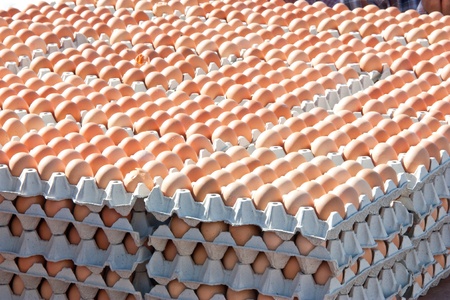Egg protein. Save the world. To cook many things. A good source of energy. And health benefits.