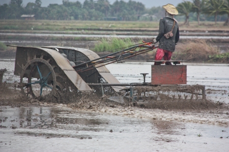 a farmer prepares the ground in growwing plant the agricultural , do transplanting rice seedlings for do something , inject a medicine for kill an insect , a farmer must do the farm through all year in year that have fertile water , this a farmer in Thailの写真素材