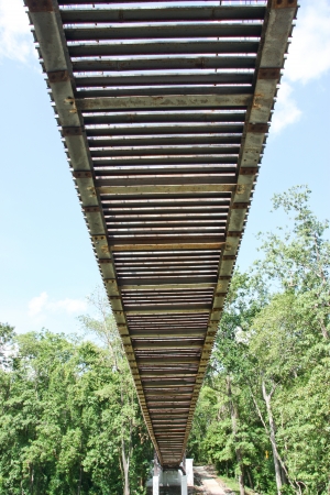 bridge , be the invention has that can shorten period of travel time , many many bridges that different entirely go to , at usability character , the majority emphasizes firm strength builds   wasp   the usability too much mostの写真素材