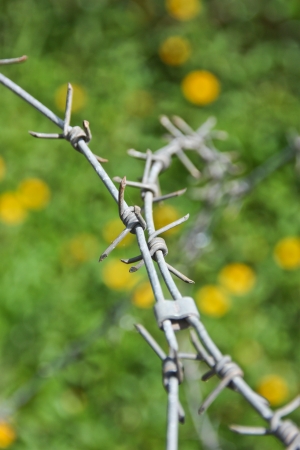 barbed wire , be a tool obstructs , be a fence will protect the thing to will come in in the boundary , or , place no take to permit , it is hindrance symbol especiallyの写真素材