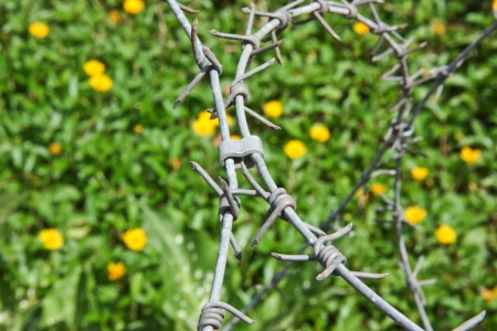 barbed wire , be a tool obstructs , be a fence will protect the thing to will come in in the boundary , or , place no take to permit , it is hindrance symbol especiallyの写真素材