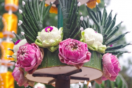 Pink lotus is a beautiful flower  All the decorations in a variety of ceremonies and the worship of Godの写真素材