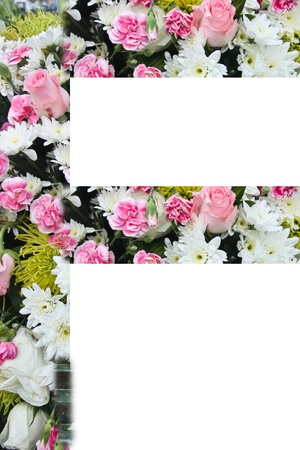 English letters. It is commonly used throughout the world as a universal language to convey meaning as well. Terminology is not complicated.の写真素材