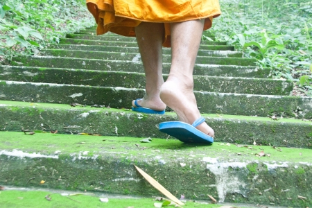 Natural forest. It is beautiful. Abundance of forests. All kinds of animals live there. Watershed resources. The habitats of animals. Ecosystems purify the air throughout the yearの写真素材