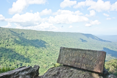 Natural forest  It is beautiful  Abundance of forests  All kinds of animals live there  Watershed resources  The habitats of animals  Ecosystems purify the air throughout the yearの写真素材