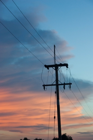 Beautiful nature background. Learn more from natural sources. Beautiful sky. Sea Bright. Flowers that glow. The needs of all living things.の写真素材