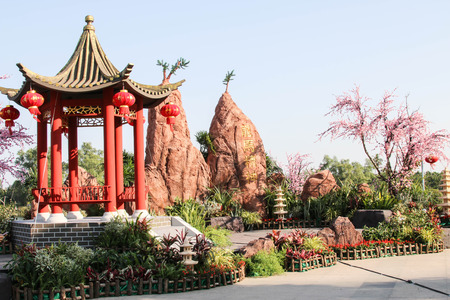 Chinese New Year A festivities of the Chinese New Year. A tradition passed down gracefully. Have...