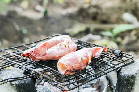 Grilled squid is a favorite of many people. Delicious taste Be made ââin a variety of dishes to please the people around the world.の写真素材