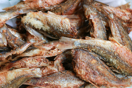 Fish food made easy Do all household No air, much to his frustration. Roy has eaten it for the whole family.の写真素材