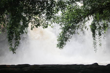 Falls are the geographical features of the river that flows down from the higher points. View of the waterfall makes an appearance Falls are found in the mountainsの写真素材