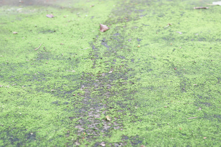 Clues as to what happened after the making of it  Car traced footprints as a reptile の写真素材