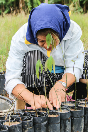 During that humans have changed significantly since the Neolithic. Because human life is during this initial collection of seeds to be planted.のeditorial素材
