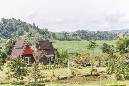 House is a building used as a residence of a person. The walls and roof are typically protected areas within the home from heat, cold, wind, rain and other things.のeditorial素材