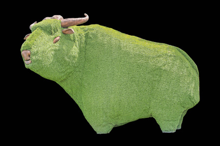 Bull Males are larger than females. Children who happen to have brown and red like the color of it. A black line across the middle. The small bull is still no socks like a big bull.の写真素材