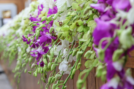 Orchids, or orchids are flowering plants that are the most diverse group, with about 880 genera and about 22,000 species are recognized (probably more than 25,000 speciesの写真素材