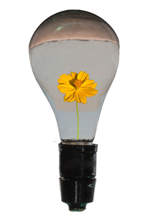 Tubes are used in many kinds. Tubes each have different electrical and optical properties. In...