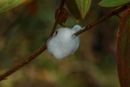 Means a natural wide. Equivalent to the natural world, physical world, or material world \"natural\" refers to the phenomena of the physical world. の写真素材