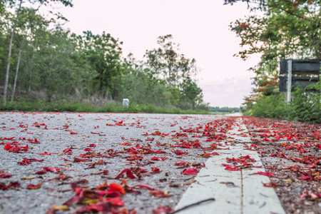 The means through which they can and get back to the sidewalk and bike lane. Under the Road Traffic lanes bridge or driveway.の写真素材