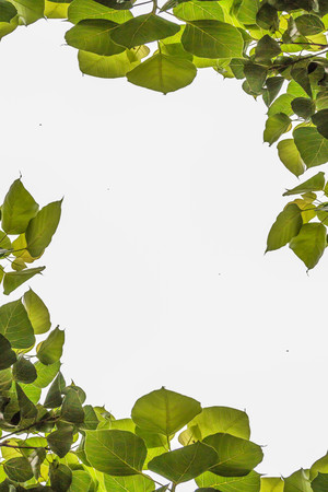 The background is a simple way out. To applications for many things. many elements There are various...