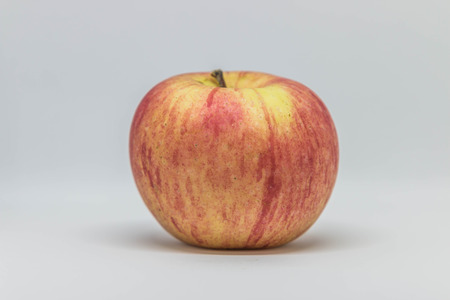 The apple tree is a deciduous tree in the Rosaceae. A sweet apple cider that has grown around the world in the form of fruit.の写真素材