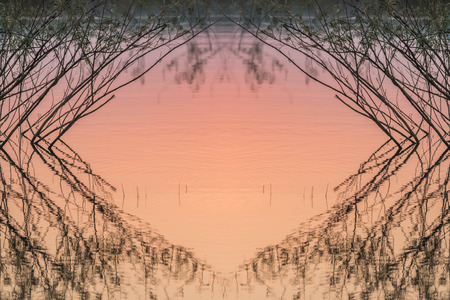 Means a natural wide. Equivalent to the natural world, physical world, or material world "natural" refers to the phenomena of the physical world. It also means to live by ...の写真素材