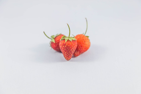 Strawberry The currency rose flowering plants in the family. The result can be eaten In the past, plant a cover crop to plant more trees. This could be the source of it is not.の写真素材