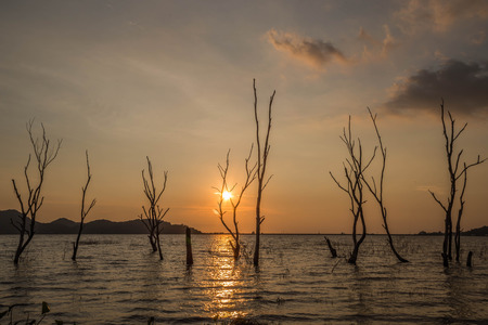 Means a natural wide. Equivalent to the natural world, physical world, or material world "natural" refers to the phenomena of the physical world. It also means to live by ...の写真素材
