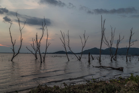 a natural wideの写真素材