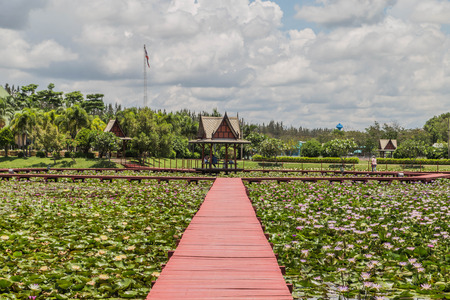 Lotus water plants are considered a symbol of pure and virtuous Buddhist. Buddha compares the human intellect with the growth of the lotus.の写真素材