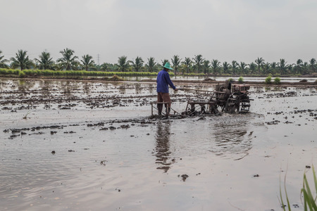 Farmer is a professional who works on agriculture, including the cultivation of plants in gardens and fields. Animal on land In water and in sea For food production natural fibersの写真素材