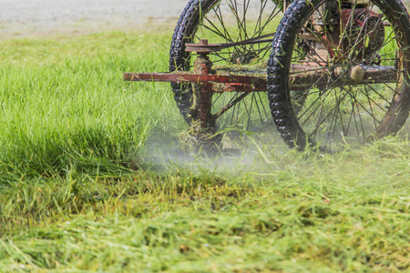 Mowing the lawn, cleaning the park or a place overgrown with grass. To keep the place clean, empty livable and more attractive.の写真素材