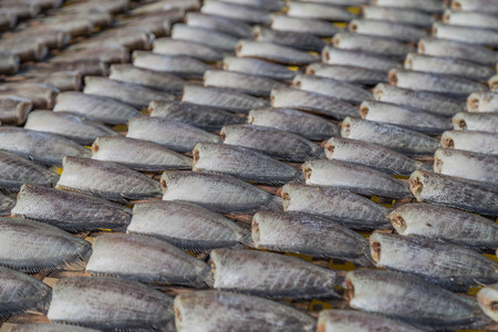 Dried Fish. History. The dried clean manually. Whether any species should choose fresh fish. Scale and gut the head cut off.の写真素材