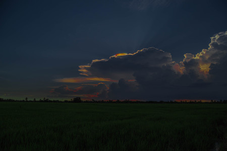 Sky is part of the atmosphere or space visible from the Earth's surface, birds, insects and planes that were flying kites in the sky.の写真素材
