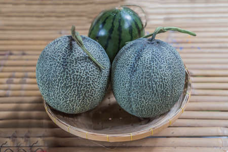 The planting Melon Melon Festival, otherwise known as the melon or cantaloupe crop is one that is becoming popular nowadays consumers. The flavor, texture and tendernessの写真素材