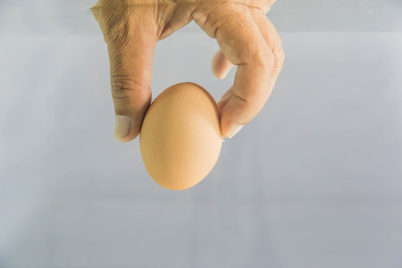 Eggsの写真素材