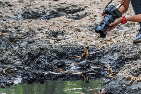 A photographer or photographer is a person skilled in photography using a camera. May be classified as an artist. Because the photographer can place elements.の写真素材