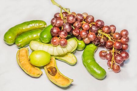 Forest fruit is a fruit that occurs naturally in the wild. Both edible and inedible. A variety of wildlife. Increase the fertility of the forests.の写真素材