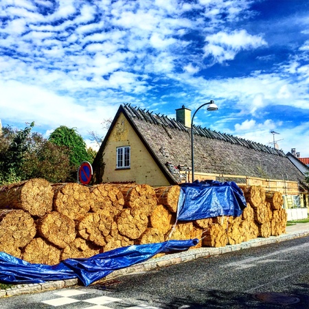 It is time to change the roof's hay.の素材