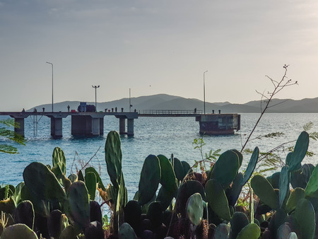 Bridge connects to the main pier and octa pier pillar erect from the sea water at the part of deep...