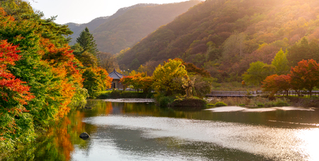 Beautiful autumn leaves  colour changing and their reflection in the pond scenery in Baekyangsa...