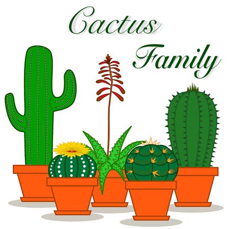 Mix of cactus and succulents growing in the orange pots on white backgroundのイラスト素材